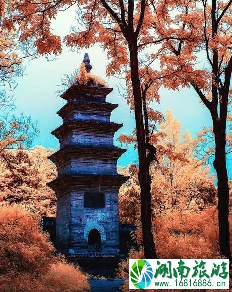 2022国庆汝州都有啥好玩的 汝州什么好玩的 2022国庆汝州都有啥好玩的 汝州什么好玩的