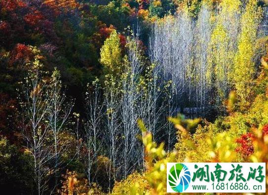 2022国庆汝州都有啥好玩的 汝州什么好玩的 2022国庆汝州都有啥好玩的 汝州什么好玩的