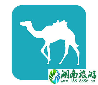 旅行下载什么必备app 旅行必备app有哪些 旅行下载什么必备app 旅行必备app有哪些
