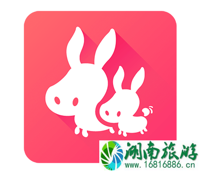 旅行下载什么必备app 旅行必备app有哪些 旅行下载什么必备app 旅行必备app有哪些