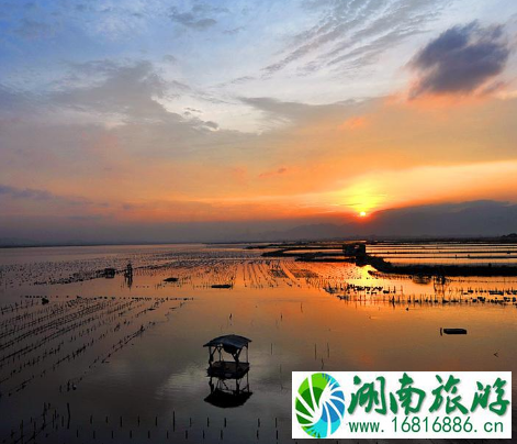 金銮湾与马銮湾哪个好 马銮湾和金銮湾区别 金銮湾与马銮湾哪个好 马銮湾和金銮湾区别