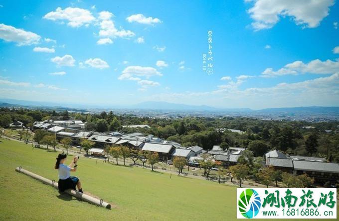 奈良一日游怎么安排为好 奈良旅游必去景点 奈良一日游怎么安排为好 奈良旅游必去景点