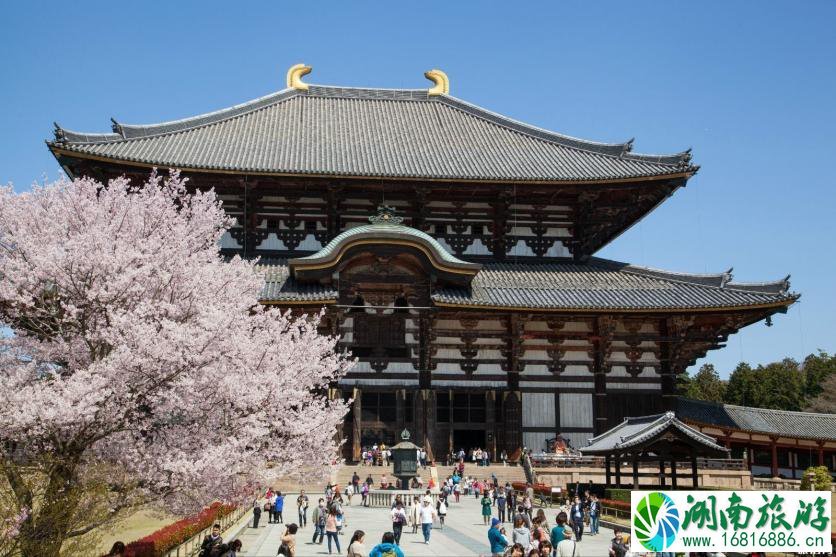 奈良一日游怎么安排为好 奈良旅游必去景点 奈良一日游怎么安排为好 奈良旅游必去景点