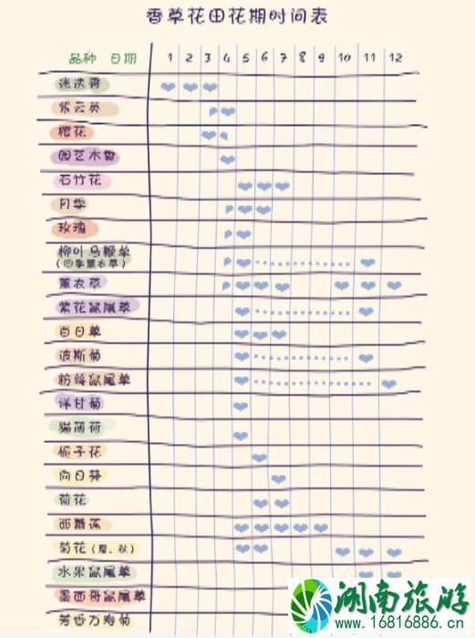 2022蔡甸香草花田门票价格+优惠政策+花期+交通 武汉香草花田哪里住宿 2022蔡甸香草花田门票价格+优惠政策+花期+交通 武汉香草花田哪里住宿
