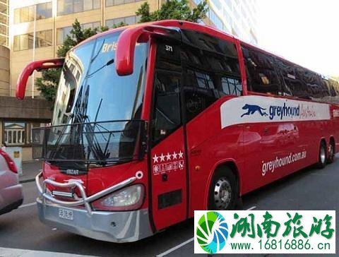 珀斯有哪些大学 西澳珀斯旅游交通攻略 珀斯有哪些大学 西澳珀斯旅游交通攻略