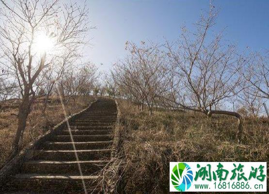 S244省道真的美吗 S244景点推荐 S244省道真的美吗 S244景点推荐