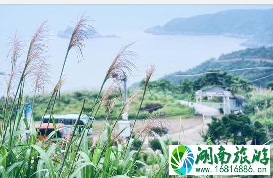 棕榈湾在哪里 怎么去 棕榈湾有什么好玩的 棕榈湾在哪里 怎么去 棕榈湾有什么好玩的