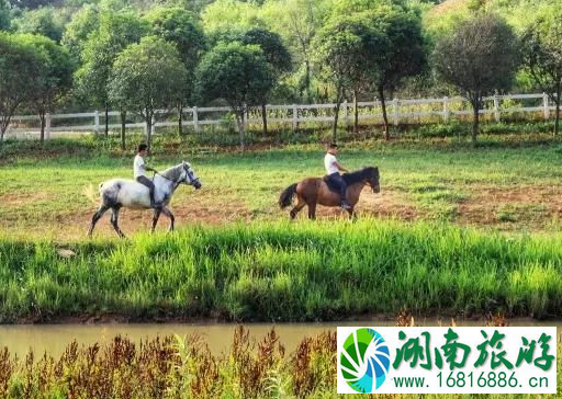 蔡甸金龙水寨要门票吗 2022蔡甸金龙水寨门票价格+交通 蔡甸金龙水寨要门票吗 2022蔡甸金龙水寨门票价格+交通