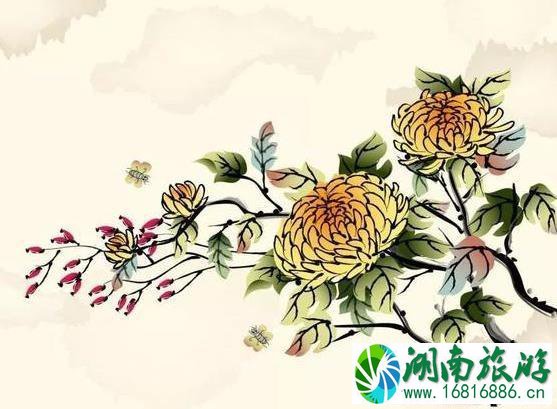 2022肥乡菊花节什么时候开幕 持续多久时间 2022肥乡菊花节什么时候开幕 持续多久时间