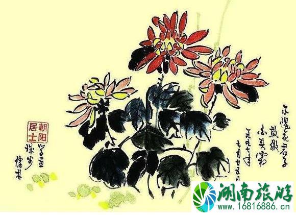 2022肥乡菊花节什么时候开幕 持续多久时间 2022肥乡菊花节什么时候开幕 持续多久时间
