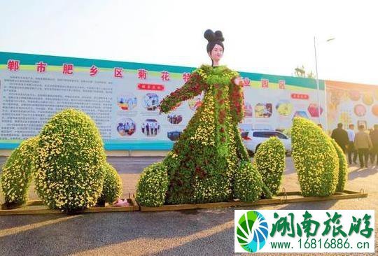 2022肥乡菊花节什么时候开幕 持续多久时间 2022肥乡菊花节什么时候开幕 持续多久时间