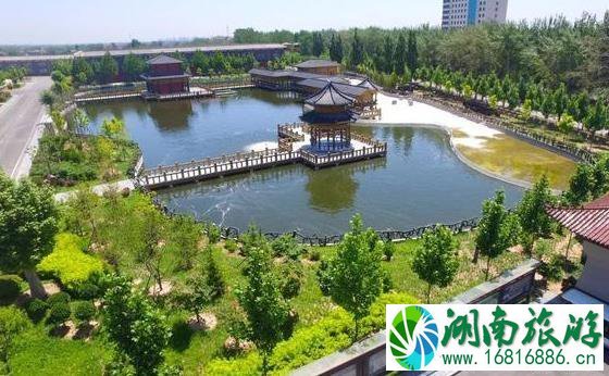 2022肥乡菊花节什么时候开幕 持续多久时间 2022肥乡菊花节什么时候开幕 持续多久时间