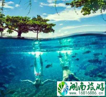 萨摩亚旅游安全吗 萨摩亚哪里最好玩