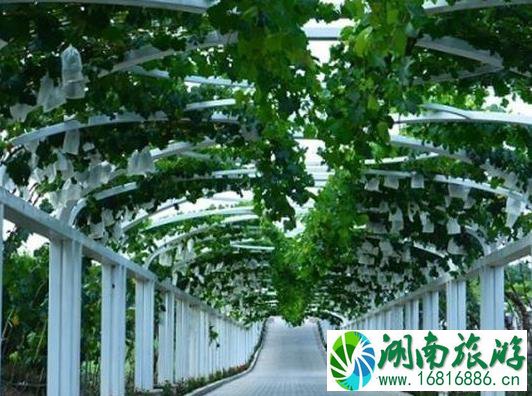 2022张裕瑞那城堡酒庄门票多少钱 2022张裕瑞那城堡酒庄门票多少钱