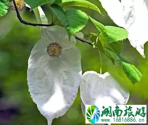 杨凌农林博览园门票多少钱 门票+交通指南 杨凌农林博览园门票多少钱 门票+交通指南