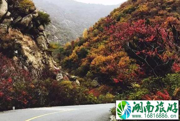 小龙门森林公园开了吗 红叶红了吗 小龙门森林公园开了吗 红叶红了吗