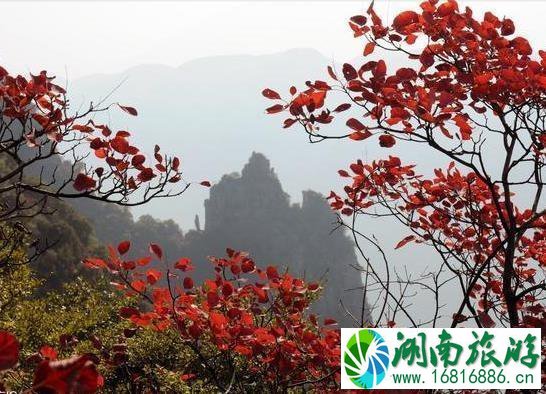 2022巫山国际红叶节都有什么活动 2022巫山国际红叶节都有什么活动