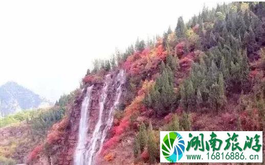 2022青州看红叶去哪里好 青州哪里的红叶红了 2022青州看红叶去哪里好 青州哪里的红叶红了