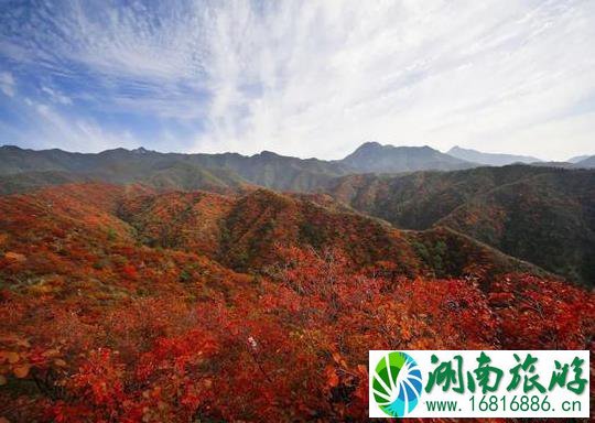 2022王屋山风景区好玩吗 王屋山红叶红了吗 2022王屋山风景区好玩吗 王屋山红叶红了吗