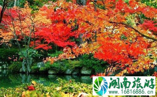 米亚罗风景区最佳时间+攻略 米亚罗风景区最佳时间+攻略
