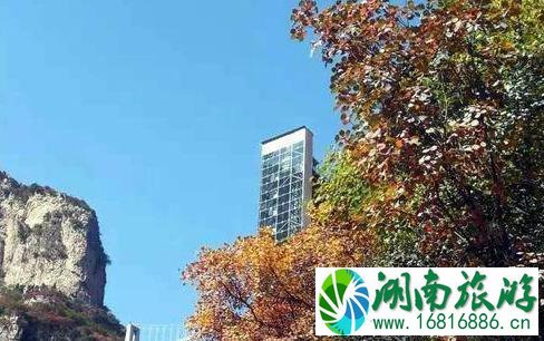 2022邢台云梦山红叶节 云梦山的红叶红了吗 2022邢台云梦山红叶节 云梦山的红叶红了吗