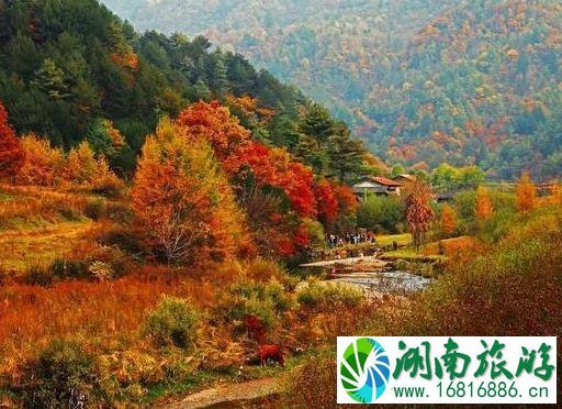 2022黎坪红叶节什么时候开始 优惠信息+活动内容 2022黎坪红叶节什么时候开始 优惠信息+活动内容