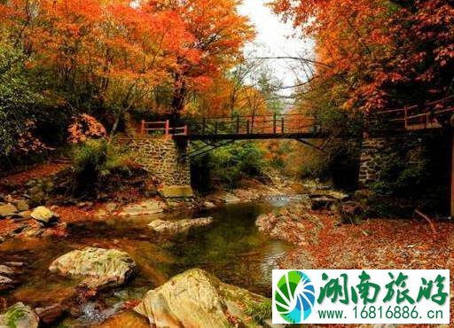 2022黎坪红叶节什么时候开始 优惠信息+活动内容 2022黎坪红叶节什么时候开始 优惠信息+活动内容