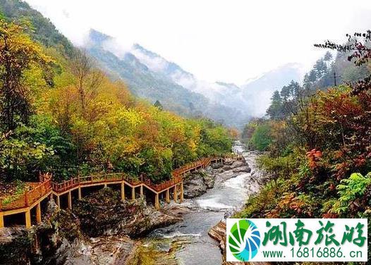 2022太白县第十届红叶节持续到什么时候 2022太白县第十届红叶节持续到什么时候
