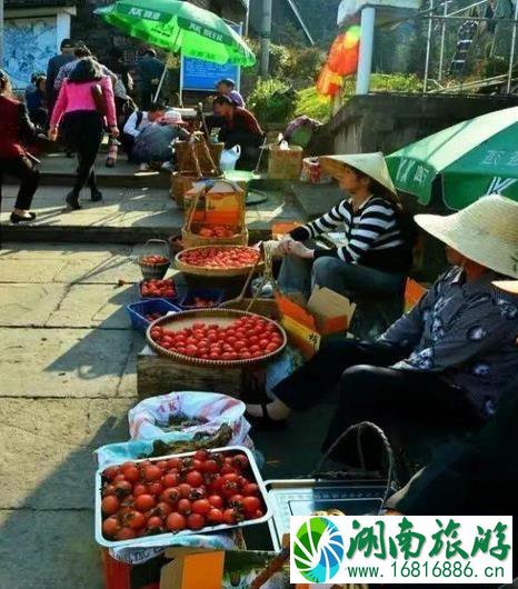 2022丹山赤水柿子节什么时候开始 2022丹山赤水柿子节什么时候开始