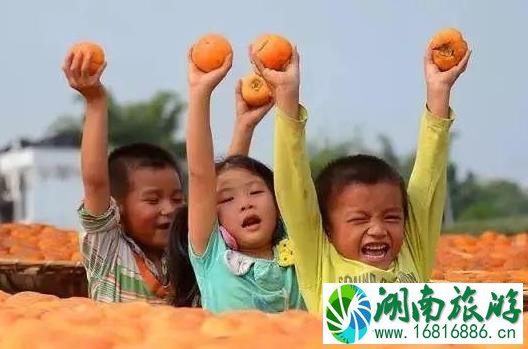2022恭城柿子节是什么时候 2022恭城柿子节是什么时候