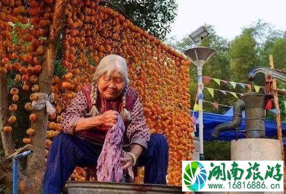 2022恭城柿子节是什么时候 2022恭城柿子节是什么时候