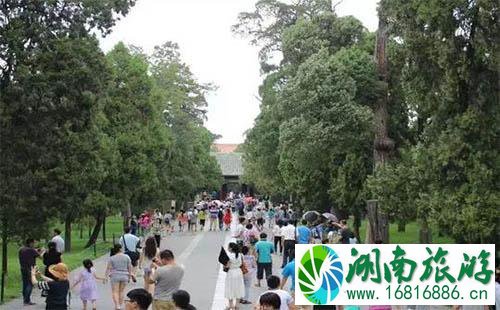孔林孔府孔庙的观后感 孔林门票是多少钱 孔林孔府孔庙的观后感 孔林门票是多少钱