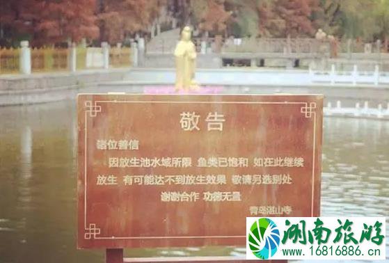 2022湛山寺门票多少钱 湛山寺几点开门 2022湛山寺门票多少钱 湛山寺几点开门