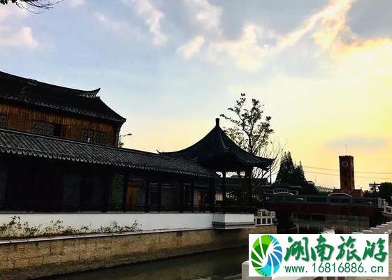 2022唐闸公园菊花展什么时候开始 2022唐闸公园菊花展什么时候开始
