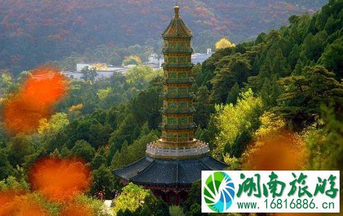 坡峰岭和香山哪个更适合看红叶 坡峰岭和香山哪个更适合看红叶
