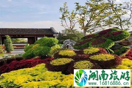 2022镇海菊展在哪里 2022镇海菊展在哪里