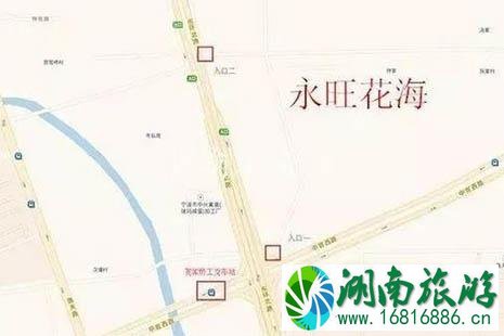 2022镇海菊展在哪里 2022镇海菊展在哪里