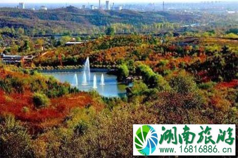 北宫国家森林公园赏叶游玩线路推荐 门票+路线+交通 北宫国家森林公园赏叶游玩线路推荐 门票+路线+交通