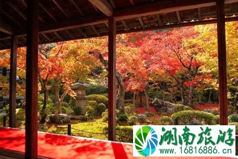 京都南山城哪里可以看枫叶 京都南山城哪里可以看枫叶