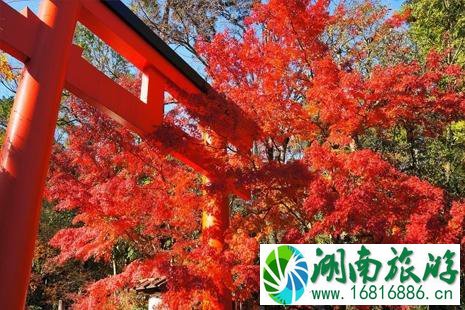 京都南山城哪里可以看枫叶 京都南山城哪里可以看枫叶