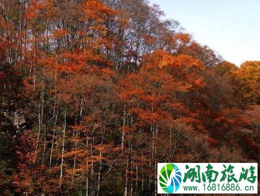 旺苍有什么好露营的地方 旺苍有什么好露营的地方