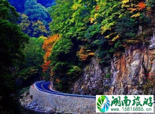 旺苍有什么好露营的地方 旺苍有什么好露营的地方