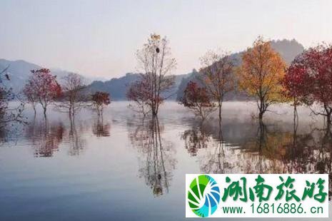 双十一去哪旅游 十一月适合去哪里旅游国内 双十一去哪旅游 十一月适合去哪里旅游国内
