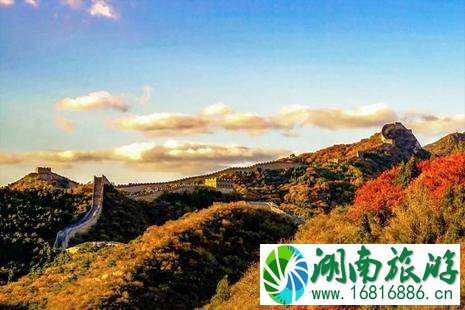 中国哪里的枫叶最好看 中国枫叶最美的十大地方 中国哪里的枫叶最好看 中国枫叶最美的十大地方