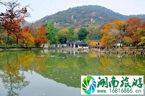 中国哪里的枫叶最好看 中国枫叶最美的十大地方 中国哪里的枫叶最好看 中国枫叶最美的十大地方