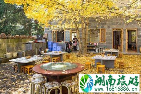 坐高铁3小时行车赏秋地推荐 坐高铁3小时行车赏秋地推荐