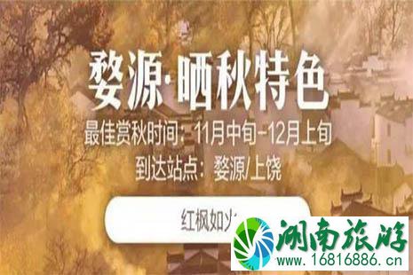 坐高铁3小时行车赏秋地推荐 坐高铁3小时行车赏秋地推荐