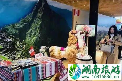 2022如何购买进博会产品 2022如何购买进博会产品