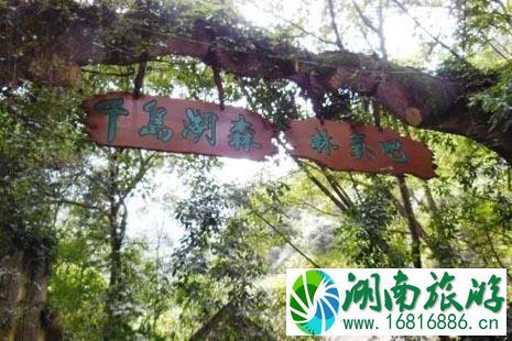 杭黄高铁线路图 杭黄高铁到千岛湖吗 凭高铁票可免票游千岛湖