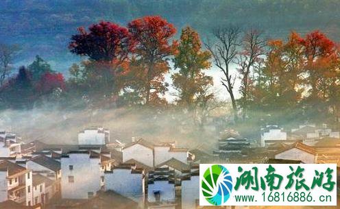 11月份去哪旅游 11月份去哪旅游